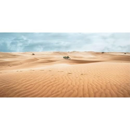 AWERT 48x24 inches Reptile Habitat Background Desert Landscape Photography Backdrop Sand Dunes Sparse Green Shrub Plant Trees Blue Sky Natural Scenery Background - size: 48x24in/120x60cm