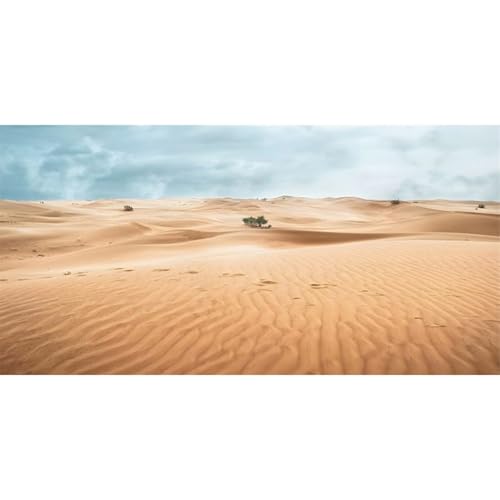 AWERT 60x24 inches Reptile Habitat Background Desert Landscape Photography Backdrop Sand Dunes Sparse Green Shrub Plant Trees Blue Sky Natural Scenery Background - size: 60x24in/150x60cm