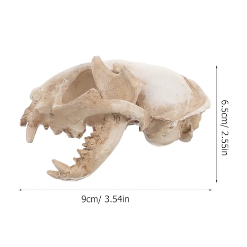 ABOOFAN Cat Skeleton Resin Model Fortune Cat Skull Figurine for Fish Tank Decoration Unique Handmade Aquarium Decor Safe for Fish for Collectibles and Teaching