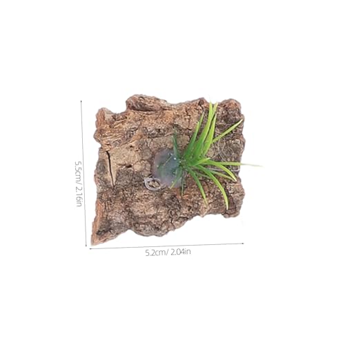 LIOOBO 20pcs Natural Cork Bark Terrarium Background for Reptiles Real Tree Bark Platform for Climbing and Hiding Aquarium Decor for Lizards Snakes Turtles Easy Maintenance Small Terrarium