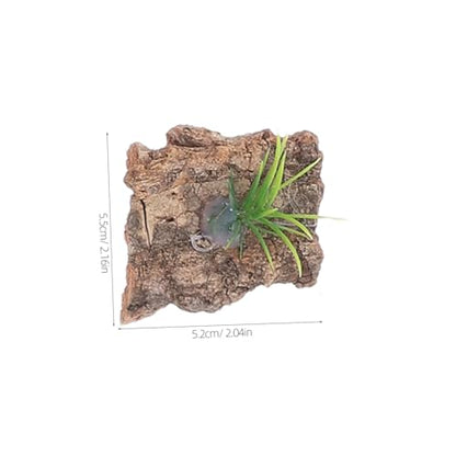 LIOOBO 20pcs Natural Cork Bark Terrarium Background for Reptiles Real Tree Bark Platform for Climbing and Hiding Aquarium Decor for Lizards Snakes Turtles Easy Maintenance Small Terrarium