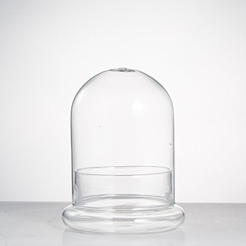 NCYP Small Clear Decorative Glass Terrarium Cloche with Air Hole - 4.7 x 4.7 x 6.3 Inches Glass Dome with Base for Miniature Plants - Display Storage (No Plants Included) - size: 4.7x4.7x6.3inches