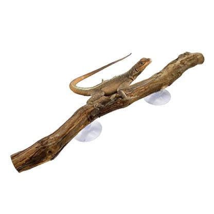 Reptile Climbing Stick – Flexible Snake Climbing Branch, Natural Tank Decor Vine | Terrarium Setup Branch Decoration, Habitat Enrichment for Tree Frogs, Lizards, Geckos, Chameleons, Iguanas