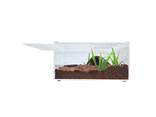 Herpcult Magnetic Acrylic Mini-Flat Enclosure 8 x 6 x 4