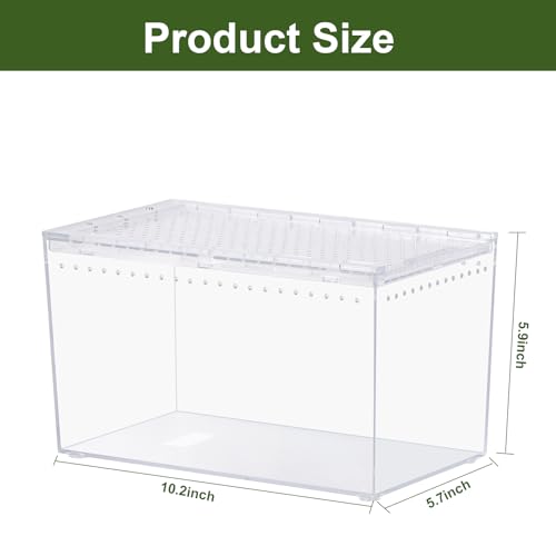 Reptile PC Terrarium 10.2" x 5.9" x 5.7" Full View Reptile Aquarium Tank Starter Kit for Insect Plant Gecko Spider Habitat Amphibians Enclosure with Hide Cave Feeding Bowl - size: M-Starter Kit