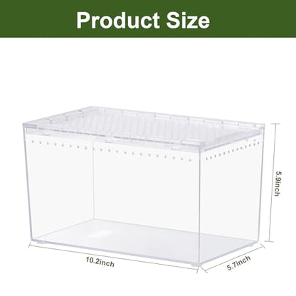 Reptile PC Terrarium 10.2" x 5.9" x 5.7" Full View Reptile Aquarium Tank Starter Kit for Insect Plant Gecko Spider Habitat Amphibians Enclosure with Hide Cave Feeding Bowl - size: M-Starter Kit