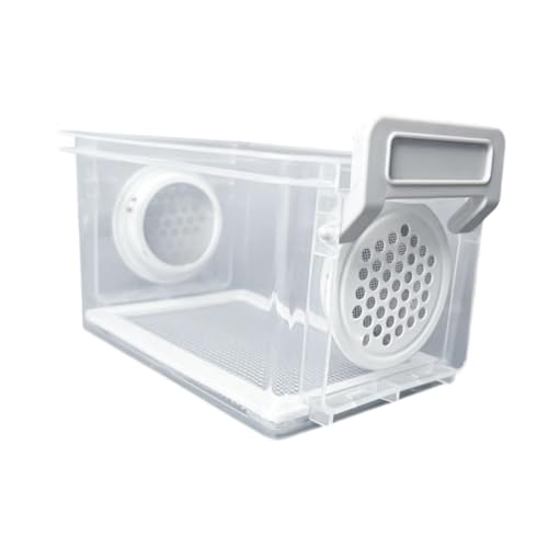 Breeding Box, Reptile Feeding Box, Transparent Terrarium, Habitat, Animal Holder for Raising Mealworms, Style B - color: style B