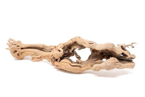 Natural Grapewood Branches – Vivarium Décor for Reptiles, Tarantulas & Spiders – Unique Terrarium Hardscape for Bioactive Tanks, Vivaria & Exotic Plant Mounts (Large) - style: Large