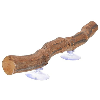 BESTonZON Wooden Tree Branch Reptile Accessory for Bearded Dragons Chameleons and Geckos Natural Climbing Rack for Relief and Exercise Terrarium Decoration