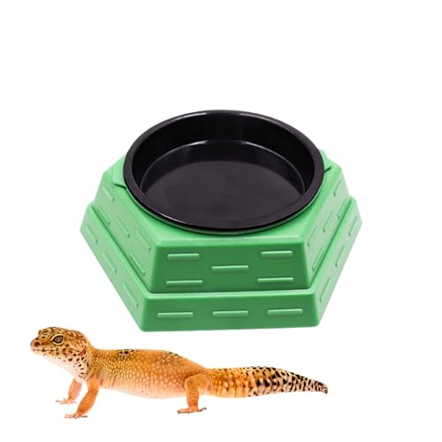 Bearded Dragon Tank Accessories, Reptile Maze Food Bowl and Water Bowl 2-in-1, Reptile Water Dish, Tank Accessories for Bearded Dragon, Ball Python, Gecko, Snake - size: Small