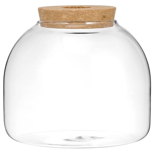 Totority Glass Terrarium Jar with Stopper for Hydroponic Plants and Moss Mini Transparent Ecosystem Container with Wood Cork Lid Decorative Indoor Plant Terrarium for Home and Office Desk
