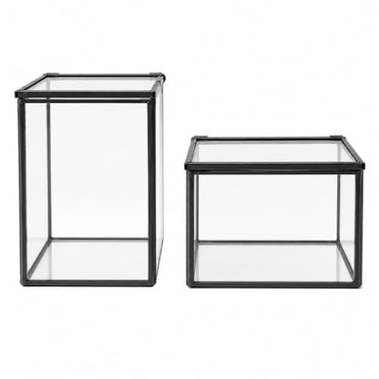 Mini Glass Terrarium Set of 2 with Lid, Tiny Rectangle Glass Succulent Terrarium Containers for Air Plants, Moss & Fairy Garden, Black Framed Tabletop Plant Holder, 4 x 2.8 x 2.4 & 2.8 x 2.4 x 4 in - color: Black
