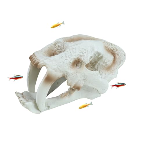 WishLotus Skull Aquarium Hides Decor, Resin Sabertooth Fish Hideout for Little Shrimp Betta Goldfish and Reptiles (Sabertooth Head) - color: Sabertooth Head