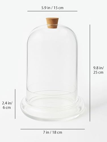 Handblown 10" Glass Terrarium with Opening for Air Flow & Cork Stopper Cloche Style Glass Dome Vivarium Display Case (Large) - size: Large