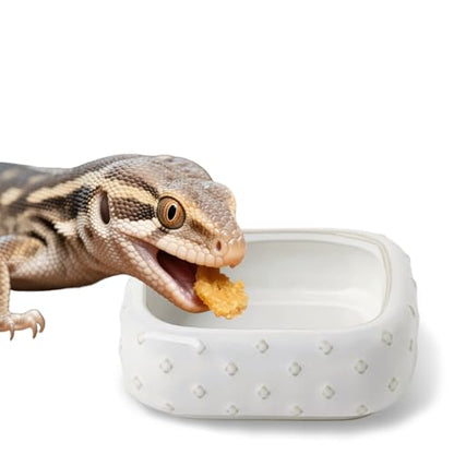 2-Pcs Ceramic Reptile Food Bowl, Mini Reptile Feeder (Farmhouse White) - color: Farmhouse White