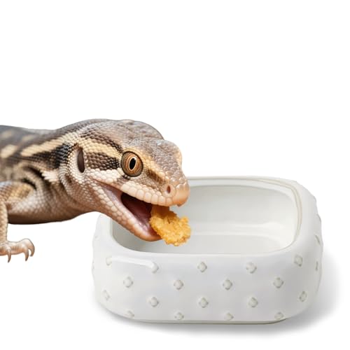 2-Pcs Ceramic Reptile Food Bowl, Mini Reptile Feeder (Farmhouse White) - color: Farmhouse White