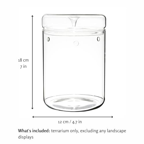 Small Glass Terrarium Jar with Lid – 4.7 x 7 Inch Closed Plant Terrarium for Succulents, Moss, Venus Fly Trap & Self-Sustaining Ecosystems – Ideal Indoor Decor for Home & Tabletop