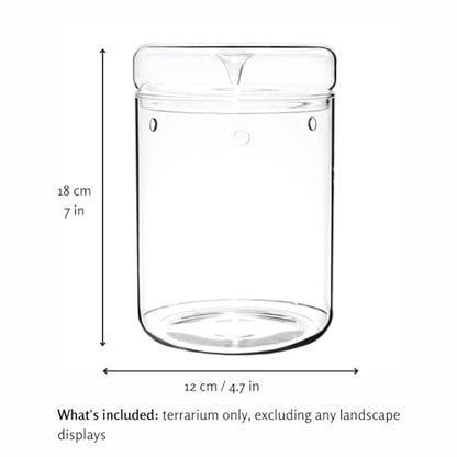 Small Glass Terrarium Jar with Lid – 4.7 x 7 Inch Closed Plant Terrarium for Succulents, Moss, Venus Fly Trap & Self-Sustaining Ecosystems – Ideal Indoor Decor for Home & Tabletop