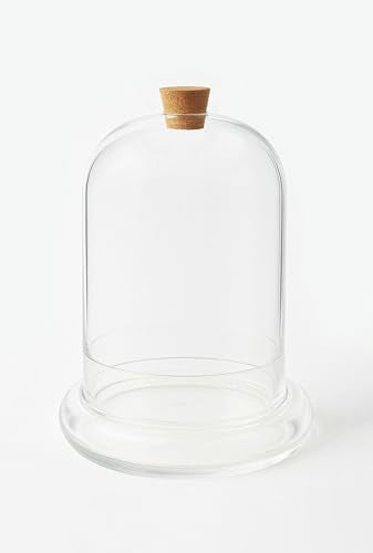 Handblown 7" Glass Terrarium with Opening for Air Flow & Cork Stopper Cloche Style Glass Dome Vivarium Display Case (Small) - size: Small