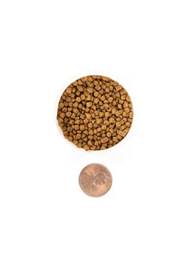 Josh's Frogs Aquatic African Dwarf Frog Food Pellets (1.85 oz) (Pack of 2) - size: 1.85 Ounce (Pack of 2)