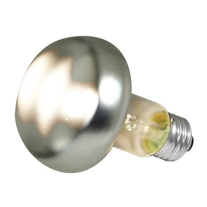 Zoo Med Repti Basking Spot Lamp 100watt for Reptiles