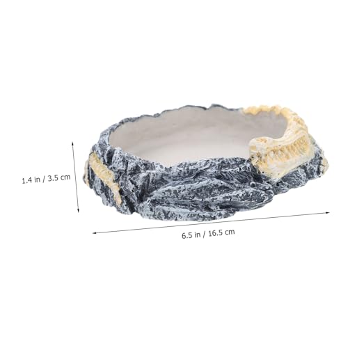 BESPORTBLE Wear-Resistant Decorative Reptile Bowl Water Dish for Turtles Lizards Snakes Feeding Drinking for Reptiles