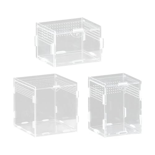 Clear Acrylic Reptiles Tanks with Ventilation Holes Terrarium Box for Small Lizards and Snake Jumping Spiders Watching Reptiles Container Box - size: 10X10X10 vertical