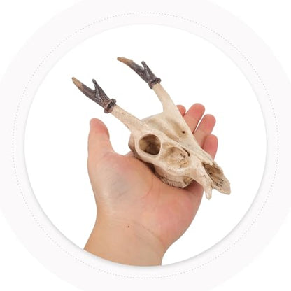 Reptile Skull Hideout Resin Cave Decoration Medium Deer Skull Terrarium Shelter for Lizards Geckos Turtles Amphibians Tank Habitat Accessories