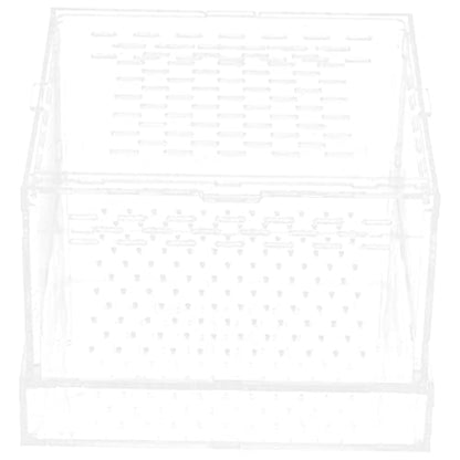 BESPORTBLE Feeding Case Hatching Container Lid for Spider Scorpion Versatile Breeding Box for Reptiles Snails and Habitat for Jumping Spider Tarantula and Reptiles