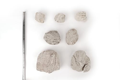 LANDEN Elephant Skin Stone Natural Multi-Texture Rocks Grey(18lbs, 3~9 inches,7pcs) for Aquarium, Paludarium, Terrariums, Landscaping, Decorative of Caves, Waterfalls, Cliffs - size: 16 Elephant Skin Stone Grey(3-9 inches,18lbs)