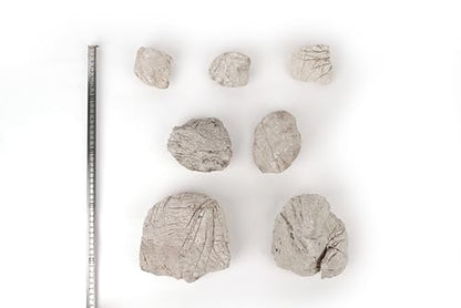 LANDEN Elephant Skin Stone Natural Multi-Texture Rocks Grey(18lbs, 3~9 inches,7pcs) for Aquarium, Paludarium, Terrariums, Landscaping, Decorative of Caves, Waterfalls, Cliffs - size: 16 Elephant Skin Stone Grey(3-9 inches,18lbs)