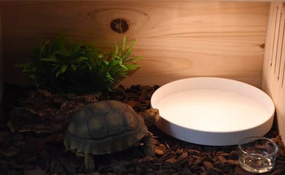 Reptile Food Bowl OMEM Water Dish,Feeding Dish, Birds Bowl (S, White) - color: White, size: S