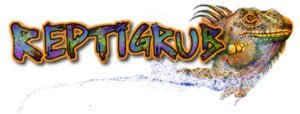 Live Superworms - Kingworms for Feeding Reptiles, Chickens, Fish (2000)