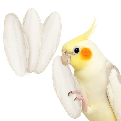 SunGrow 4 Pack Large 6-inch Cuttlefish Bones for Cockatiels, Turtles, Shrimp, Calcium for Beak Trimming, Cuddle Bone for Sharp Beaks, Calcium Block Stone for Egg-Laying Birds