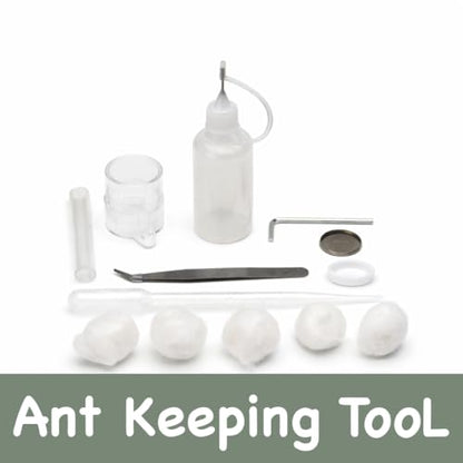 Terra Core Hybrid Formicarium Ant Nest with Starter Kit 9.84 x 9.05 x 5.11 in - size: Terra Core Series-Hybrid