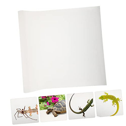 balacoo 2pcs Bearded Dragon Stuff Reptile Supplies Lizard Carpet Snake Heating Pad Gecko Tank Mat Eva Reptile Bedding Liner
