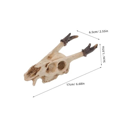 COLLBATH Realistic Resin Reptile Skull Hideout for Turtle Snake Lizard Habitats Spacious Hiding Cave for Bearded Dragons and Frogs Authentic Terrarium Decoration Versatile Fish Tank