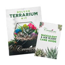 Creations by Nathalie DIY Terrarium Starter Kit - Small Terrarium Kit with Moss, Soil, Pebbles, Tools, Crystals & Figurines - Fun Gardening Craft Supplies for Adults & Teens - Handcrafted in USA