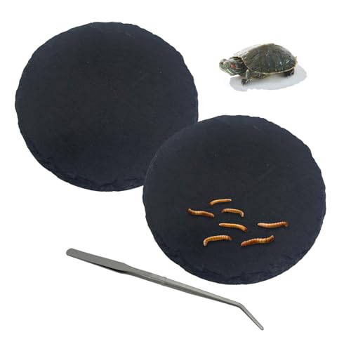 Hamiledyi Reptile Basking Platform Tortoise Feeding Dish Rock Reptile Food Bowl with Feeding Tweezers Landscape Habitat Decor for Crested Gecko Lizard Bearded Dragon Turtle (2 PCS Round)
