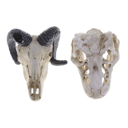 Resin Reptile Pet Skull Hide Skull for Reptile Tank Accessories Fish Tank Decor