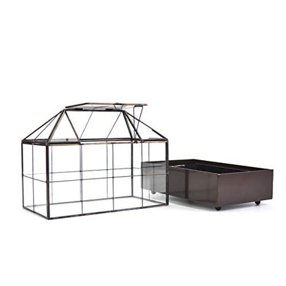 YIMORENCE V Large Tall Plant Terrarium Glass Greenhouse with Lid and Tray, Indoor Tabletop Orchid Succulent Cacti Kit 9.5'X9.8'X5.6'