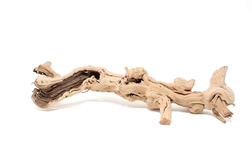 Natural Grapewood Branches – Vivarium Décor for Reptiles, Tarantulas & Spiders – Unique Terrarium Hardscape for Bioactive Tanks, Vivaria & Exotic Plant Mounts (Large) - style: Large