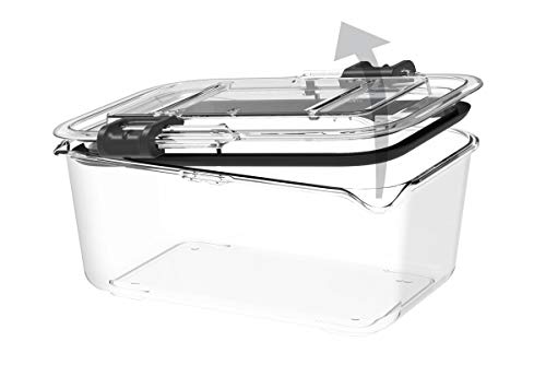 Prepara Latchlok 5.25 Cup Tritan Food Storage Container, Set of 2, Clear - size: 5.25 cup