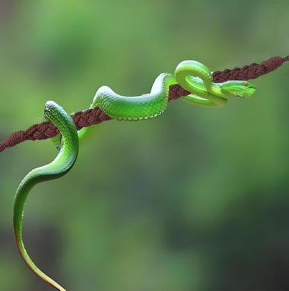 2PCS Snake Climbing Toys, Reptile Tank Terrarium Accessories,Habitat Decor for Lizards,Geckos,Snake Habitat Accessories