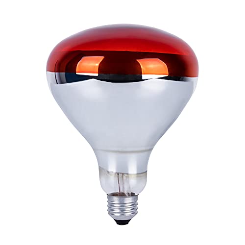 250 Watts Heat Lamp Bulbs, R40 Brooder Heat Lamp Bulbs for Chickens, Infrared Reflector Heat Bulbs for Brooder Heater, Incandescent Heating bulb for Chicks, Pet, Light Therapy, Bathroom, Food (1 Pack) - size: 1 Count (Pack of 1)