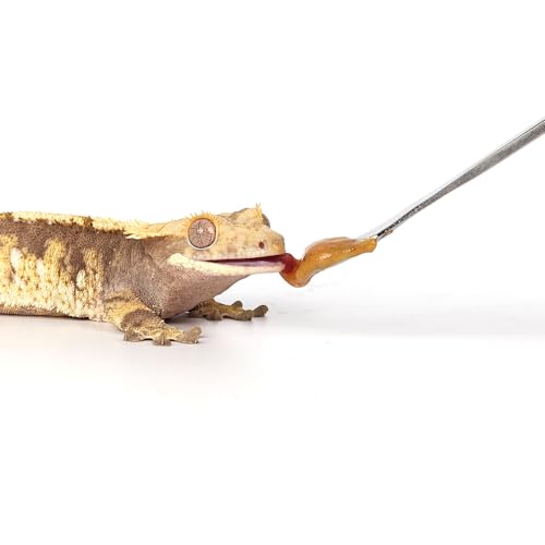 2Pcs Reptile Powder Fruit Mixing Stirring Food Feeding Spoon fit Crested Gecko Gargoyle Bearded Dragon - size: 0.5 Ounce (Pack of 2)