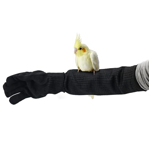 Bird Training Anti-Bite Gloves, Level 5 Protection, Parrot Chewing Working Safety Protective Gloves for Cockatiels - color: Gloves + Arm Sleeves