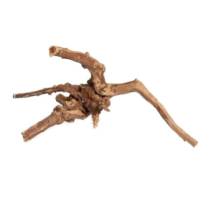 emours Driftwood Branches Reptiles Aquarium Decoration Assorted Size,(5.5-8 inch in Length),4 Pieces (Spider Wood)