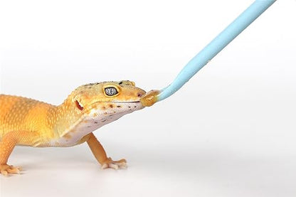 2Pcs Crested Gecko Food Mixing Spoon, Feeding Spoon fit Lizard Gargoyle Bearded Dragon - Blue - size: 1 Ounce (Pack of 2)