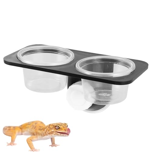 POPETPOP Reptile Feeder Bowl with Suction Cup 4.52X2.36X6.49In Water and Food Container for Lizard Turtle Gecko Chameleon Scorpion Tank Accessories